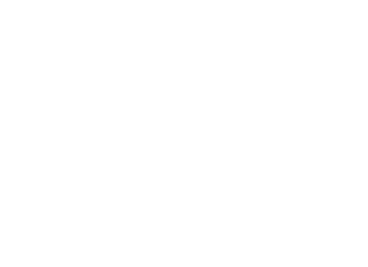 arcsite_mysalesman